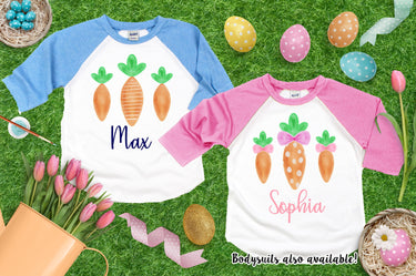 Easter shirts, Easter pink raglan shirt, Easter carrot raglan outfit , blue Easter boy raglan shirt, Easter twin raglan pink blue shirt